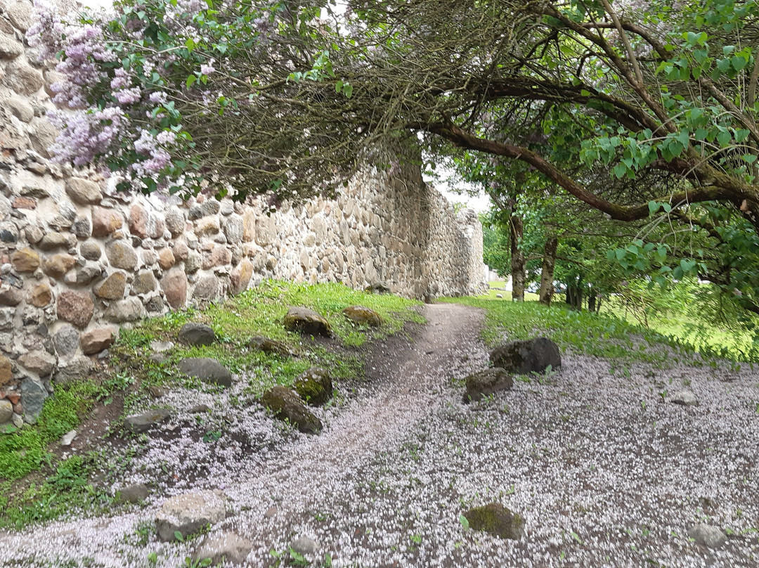 Dobele Castle-Dobele必去景点