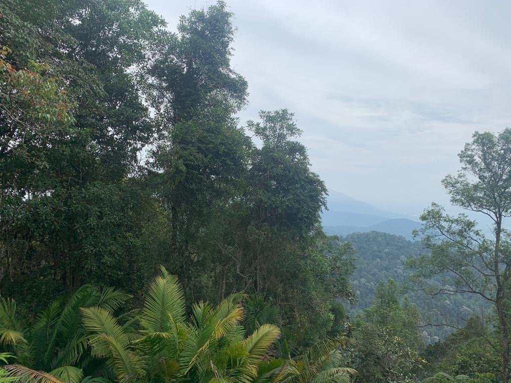 Bukit Kledang-怡保必去景点
