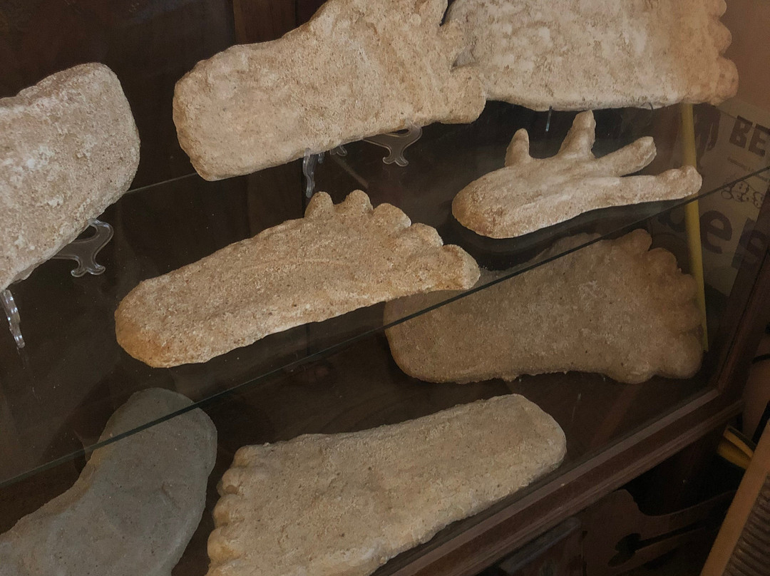 Cryptozoology & Paranormal Museum-Littleton必去景点