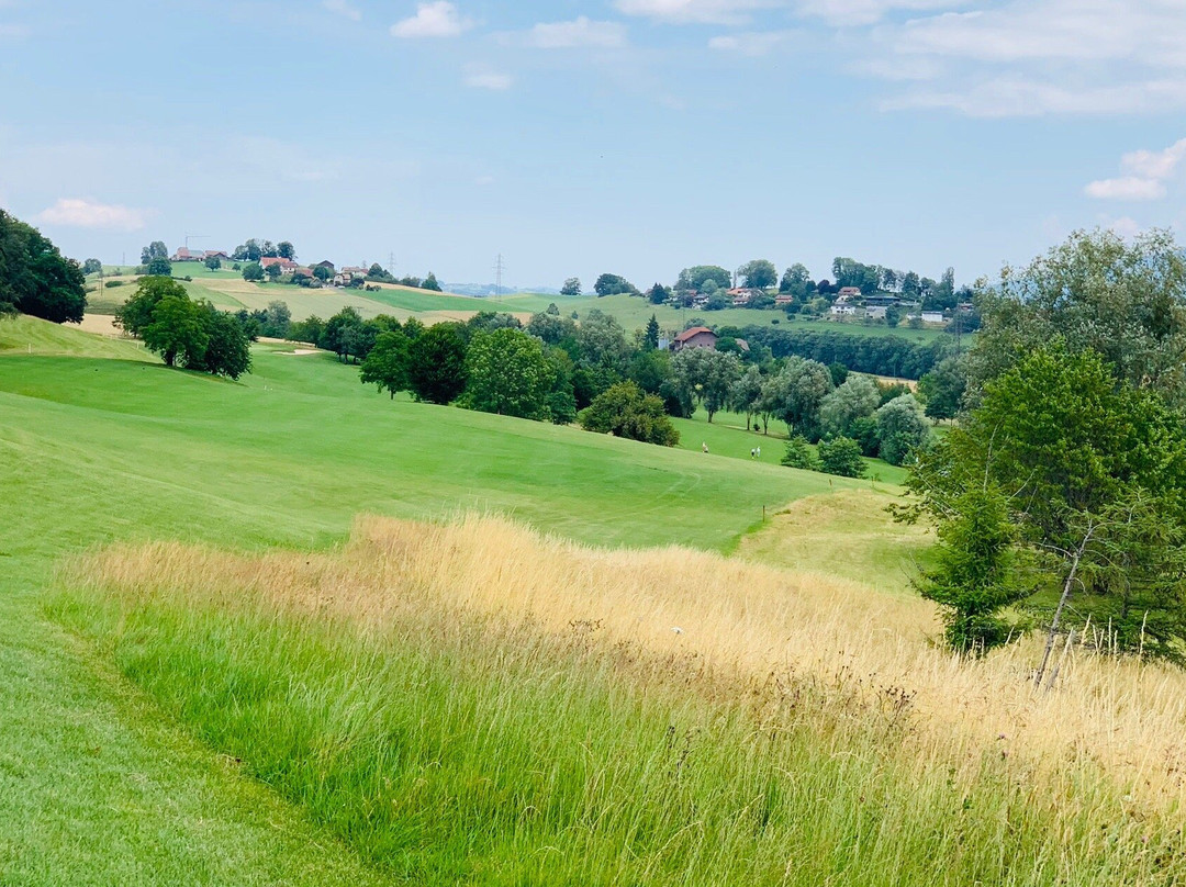 Lavaux Golf Club-Puidoux必去景点