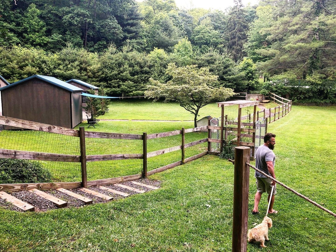 3B's Inn Bed Breakfast & Biscuits主图