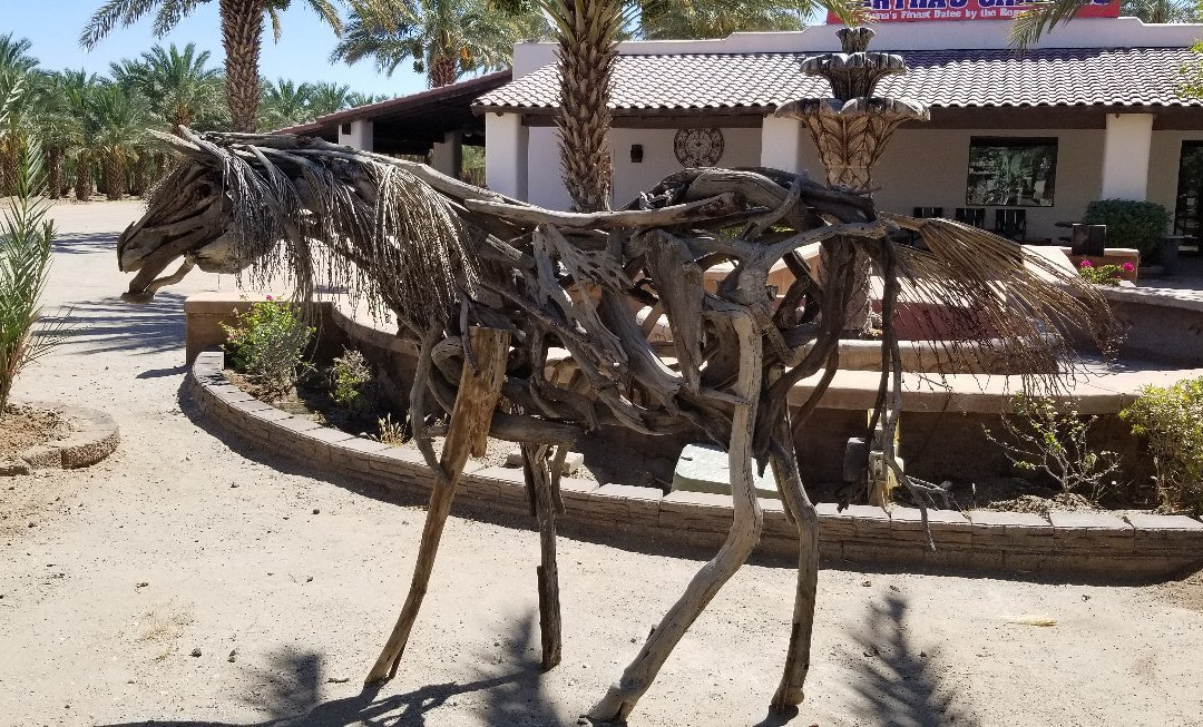 Martha's Gardens Medjool Date Farm-尤马必去景点