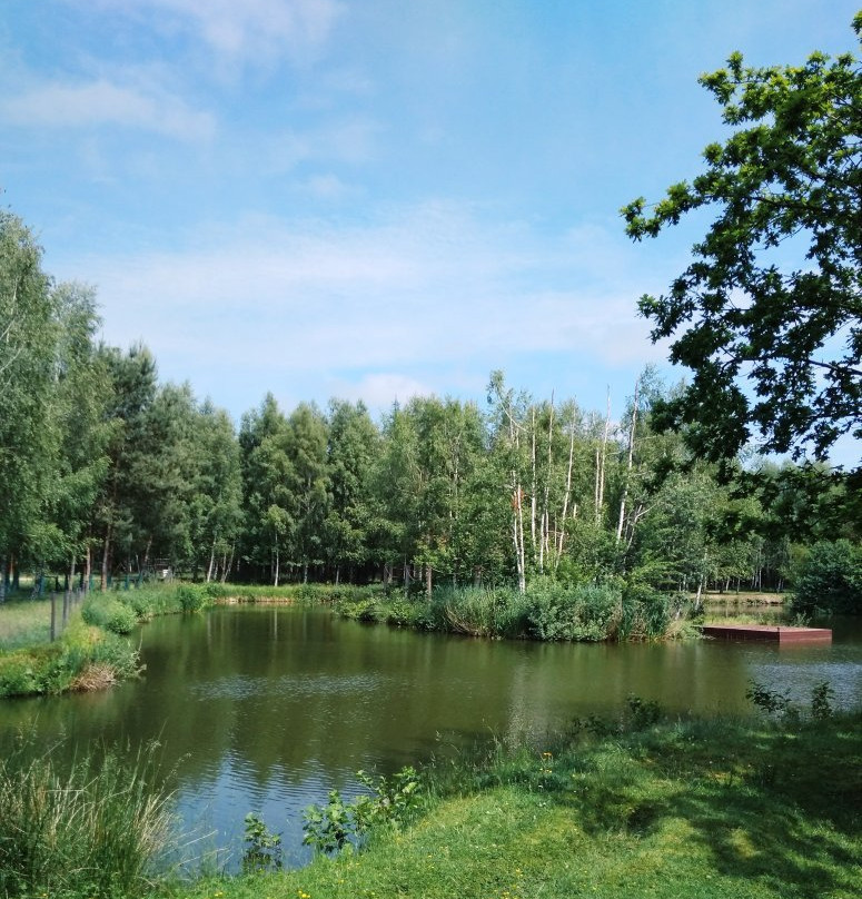 Zoo Charlotta景点图片