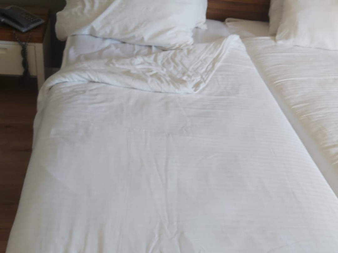 艾米丽酒店主图