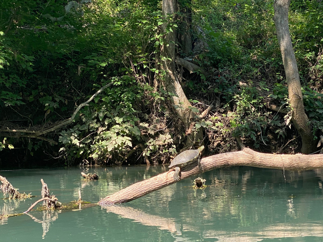 Texas Canoes & Kayaks-圣马科斯必去景点