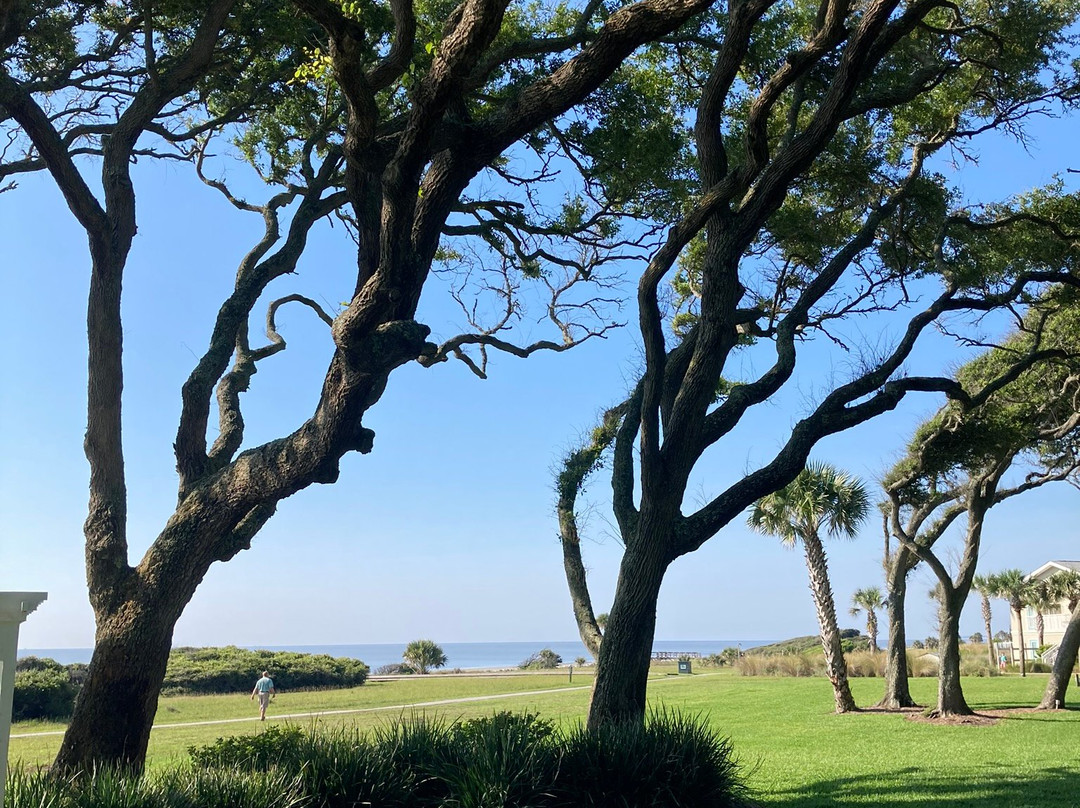 The Beachview Club主图