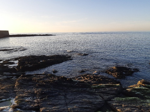 Plage de la Saline-瑟堡-奥克特维尔必去景点