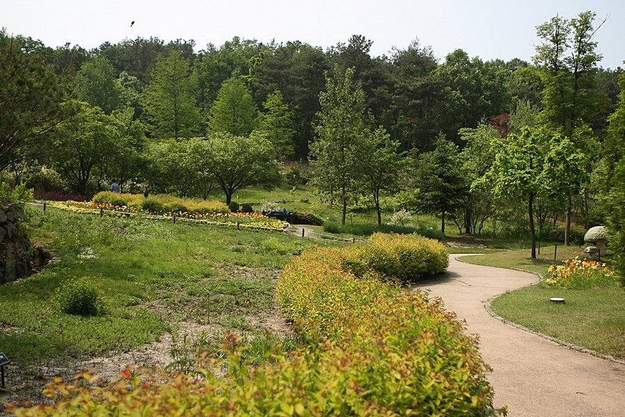 Hwanghaksan Arboretum-骊州郡必去景点