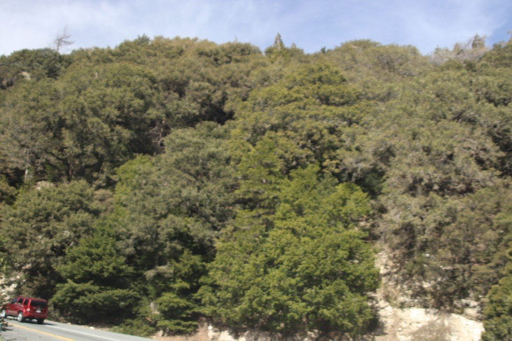 Rim of the World Highway-圣贝纳迪诺必去景点