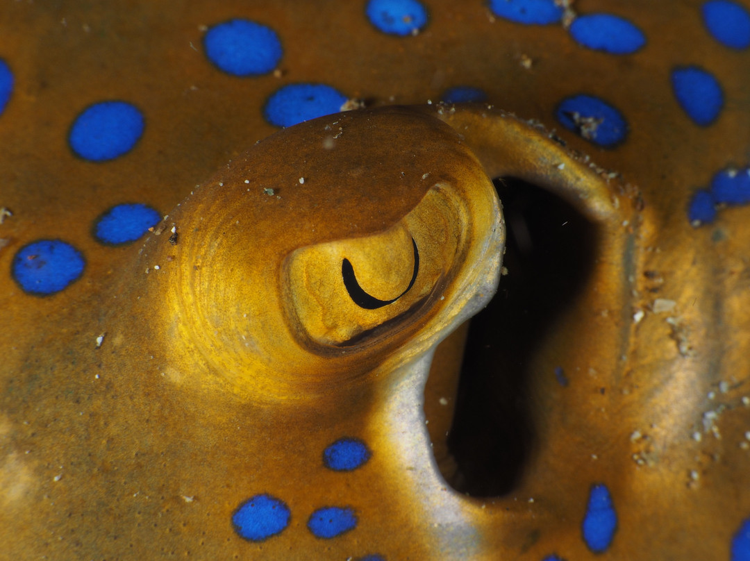 水上冒险乐园礁俱乐部酒店主图