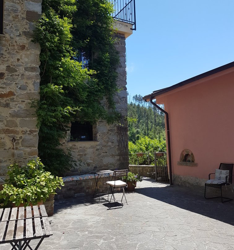 B&B Il Tulipano主图