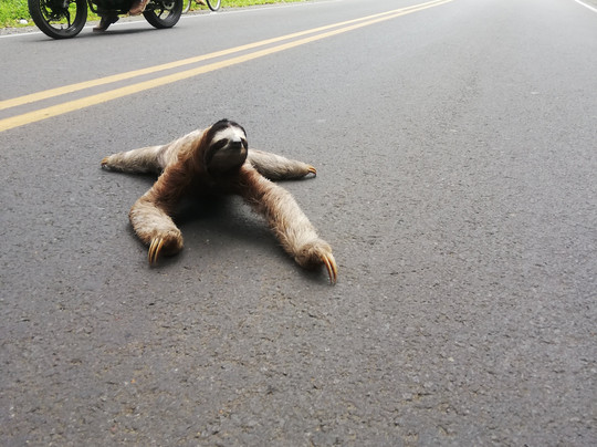 Agencia de Viajes y Transportes Taz&Mia Adventure Tours-利蒙港必去景点