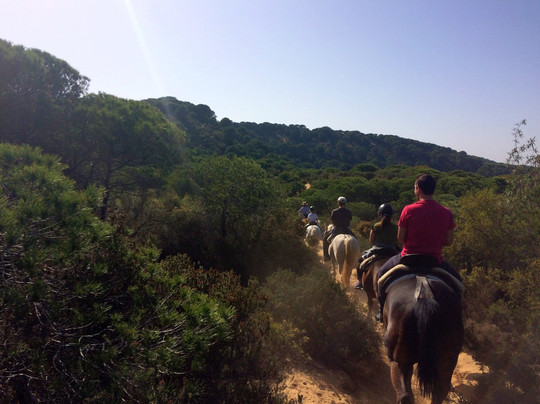 Discovering Andalucia Tours and Excursions-塞维利亚必去景点