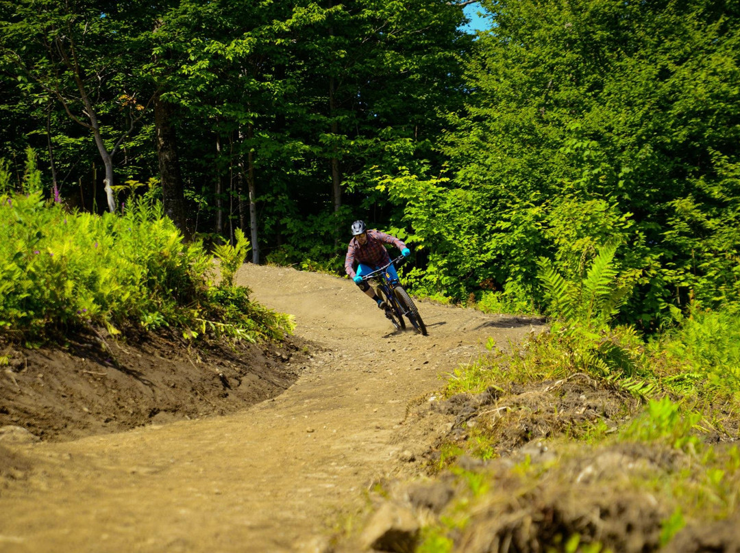 Stratton Mountain Resort主图