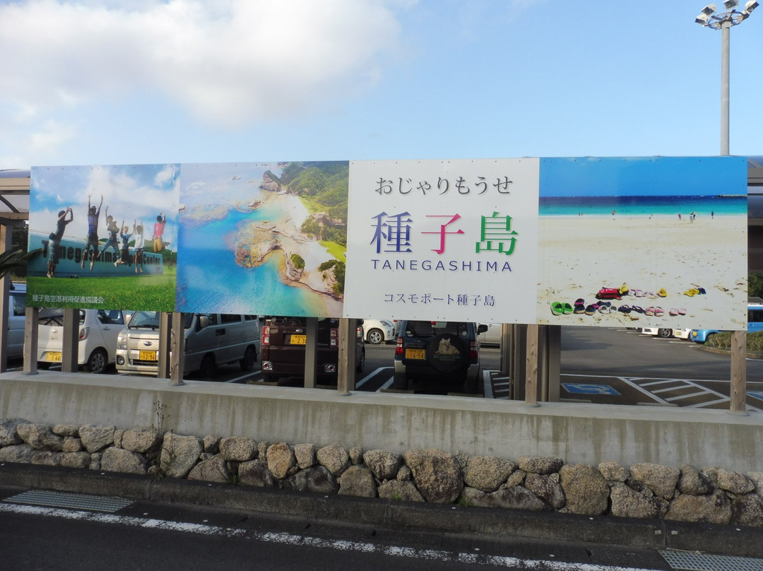 Tanegashima Airport景点图片