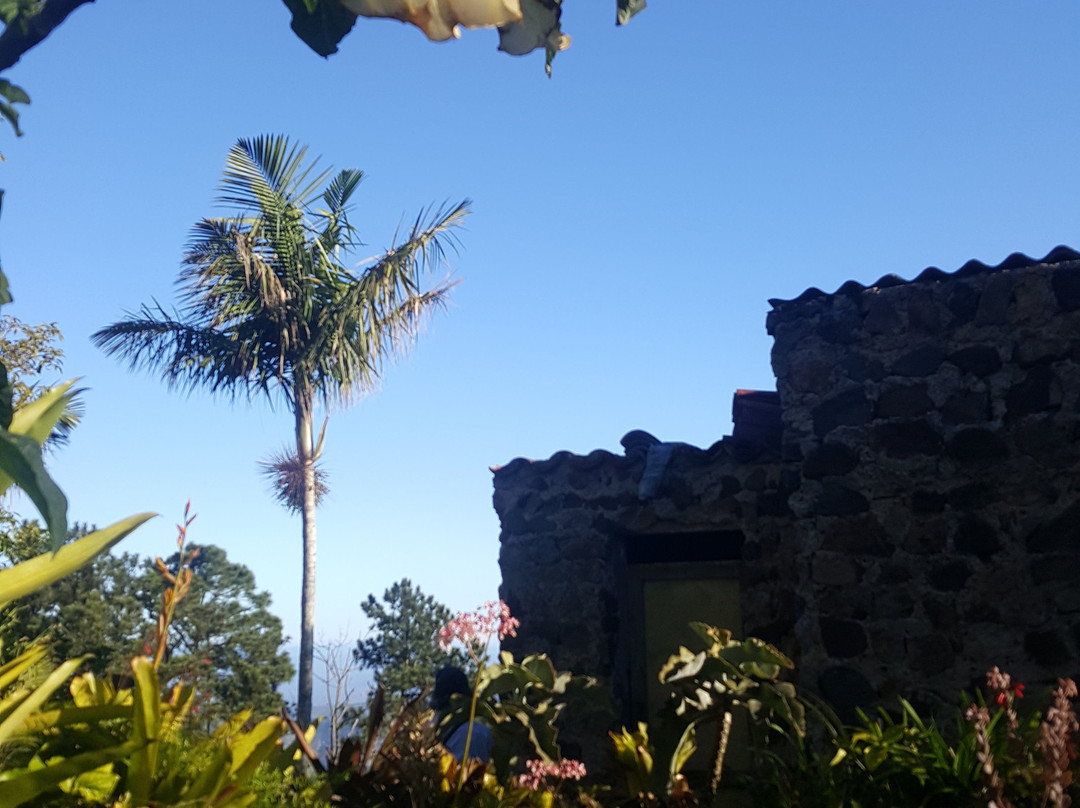 Jardin de los Helechos景点图片