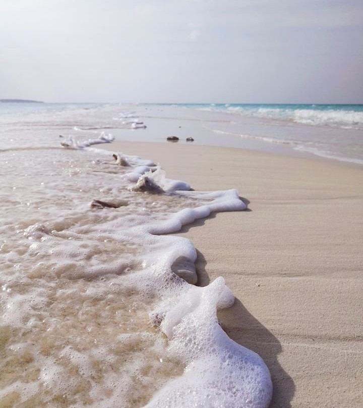 瓦沙法鲁酒店主图