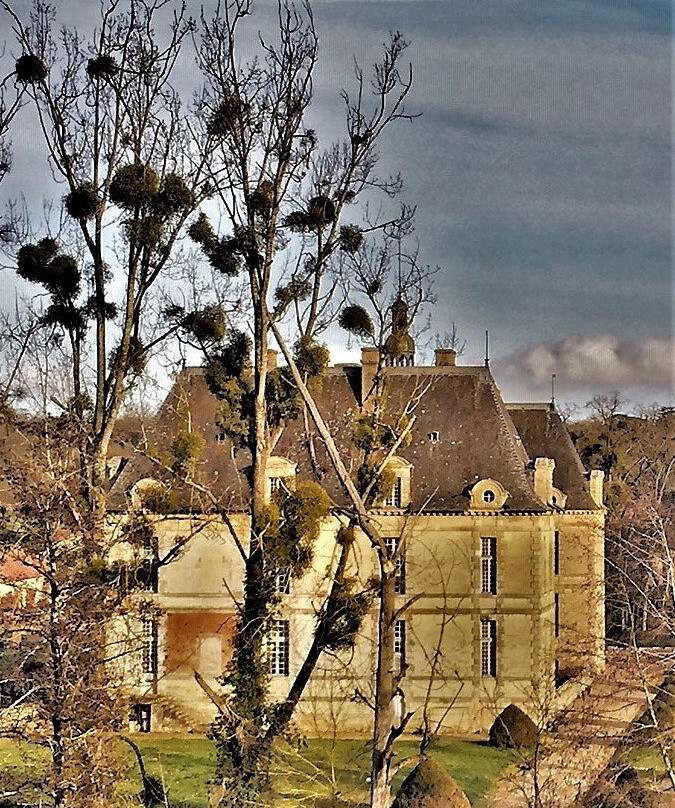 Domaine de Saint-Loup景点图片