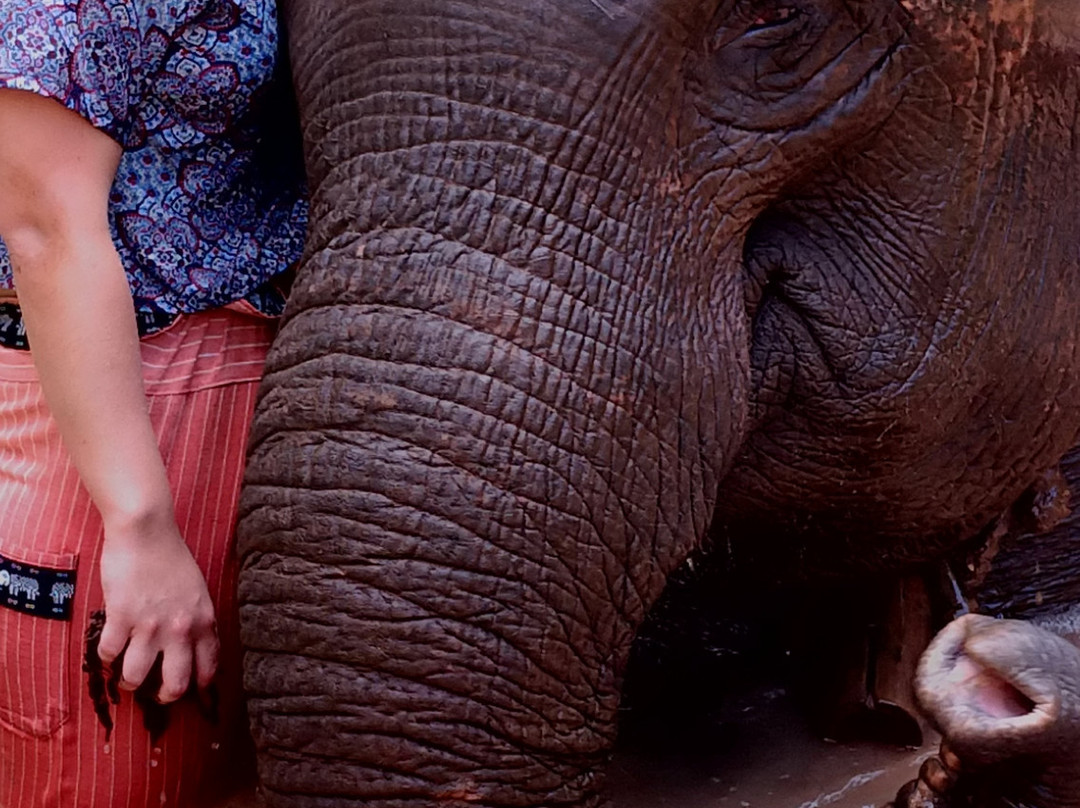 Green Hill Valley Elephant Camp- Day Tours-格劳必去景点