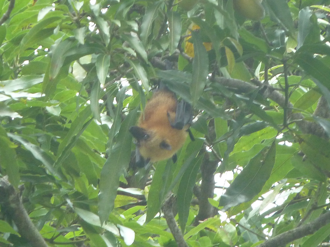 Sun Properties & Resort主图