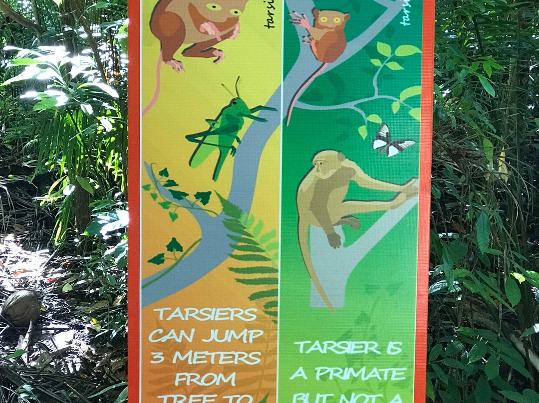 菲律宾眼镜猴及野生动物保护区景点图片