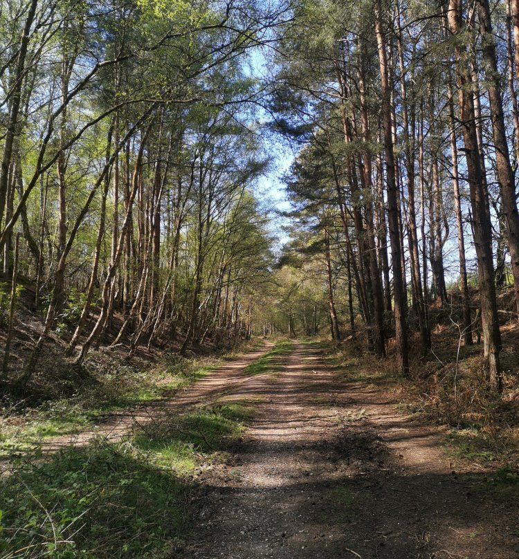 Castleman Trailway景点图片