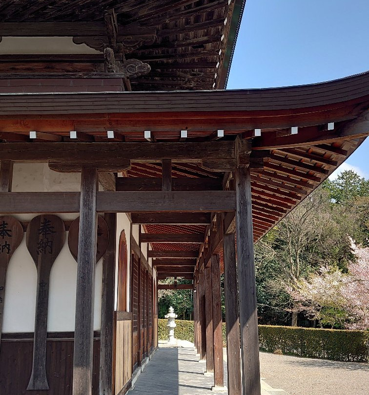 Tenneiji Temple-彦根市必去景点