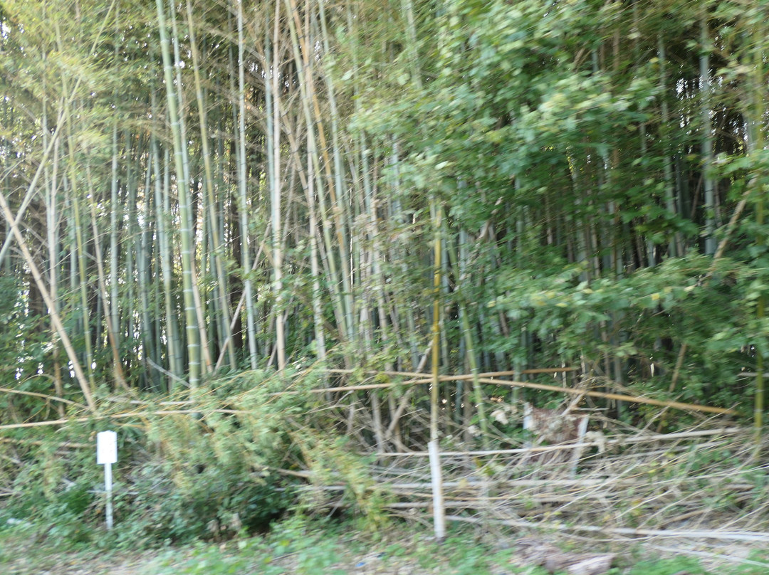 Makimukuishizuka Burial Mound-樱井市必去景点