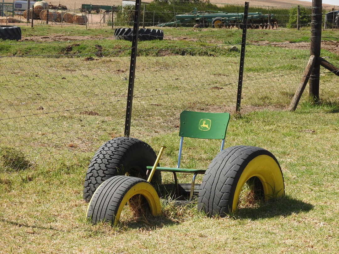 Darling Olives-Darling必去景点