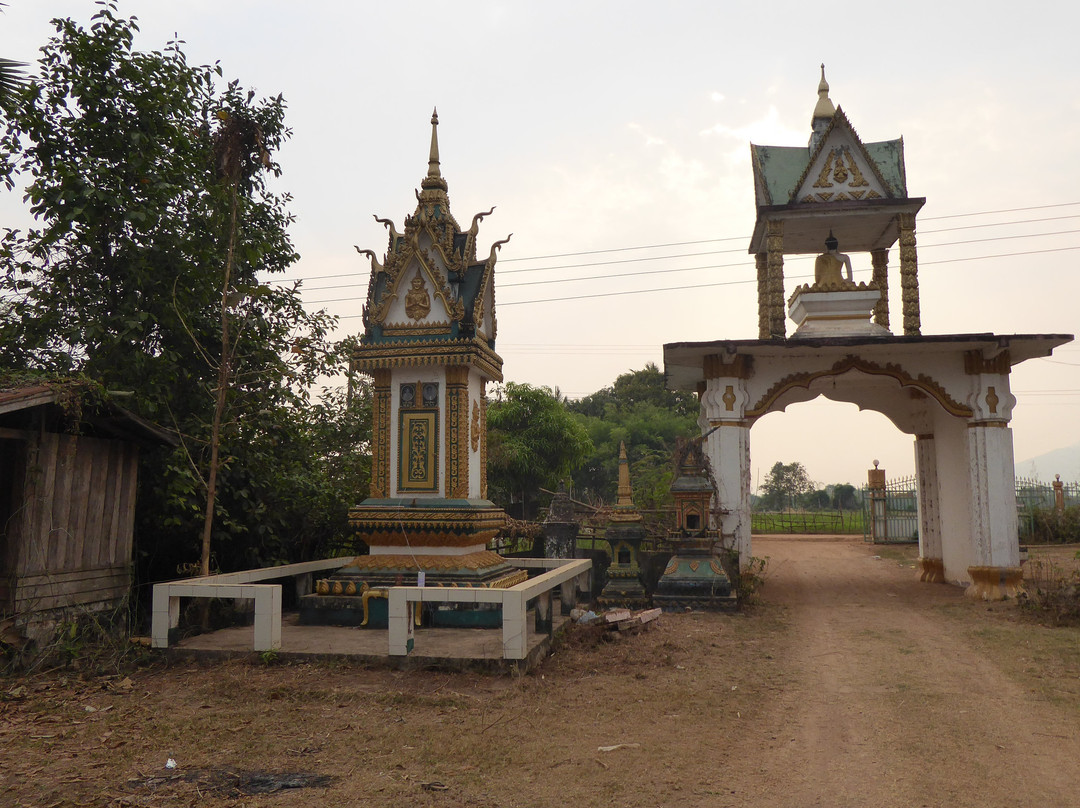 Wat Muang Kang Temple景点图片