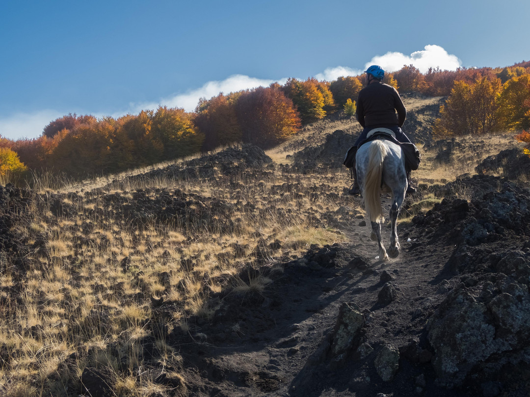 Sicily on horseback景点图片