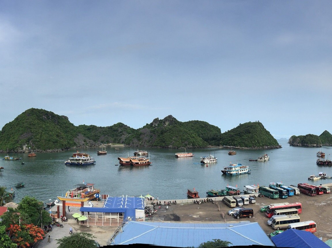 Alibaba's Hotel主图