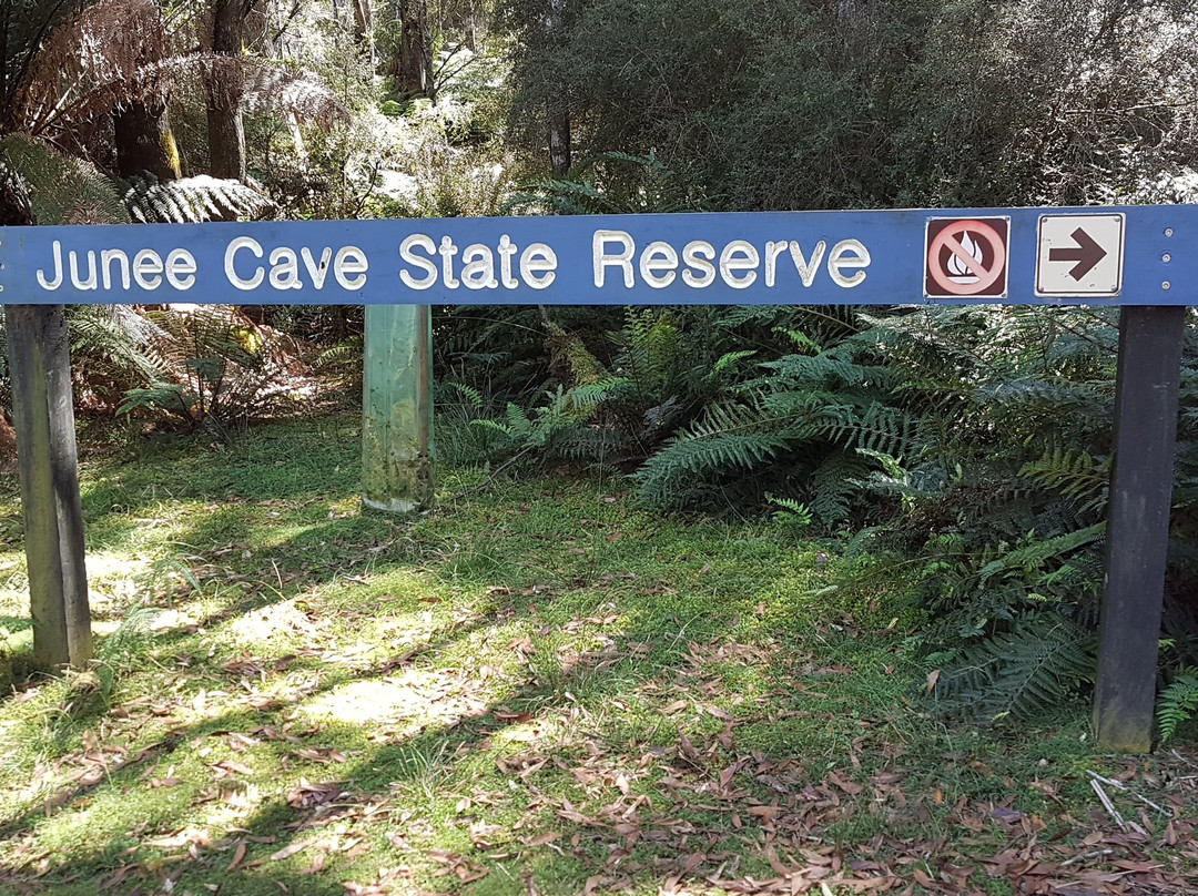 Junee Caves-Maydena必去景点