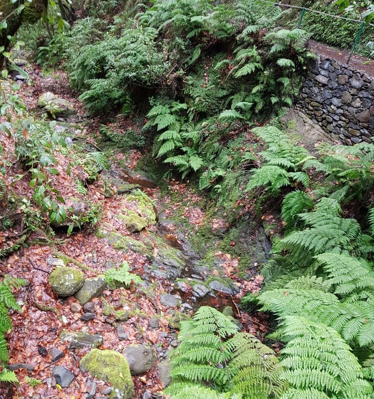 PR11 Vereda dos Balcões-Ribeiro Frio必去景点