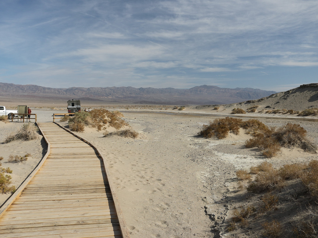 Salt Creek Interpretive Trail-死亡谷国家公园必去景点