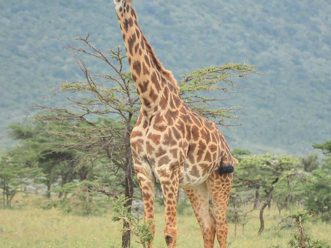 MOHRALE TOURS $ TRAVEL-Eldoret必去景点