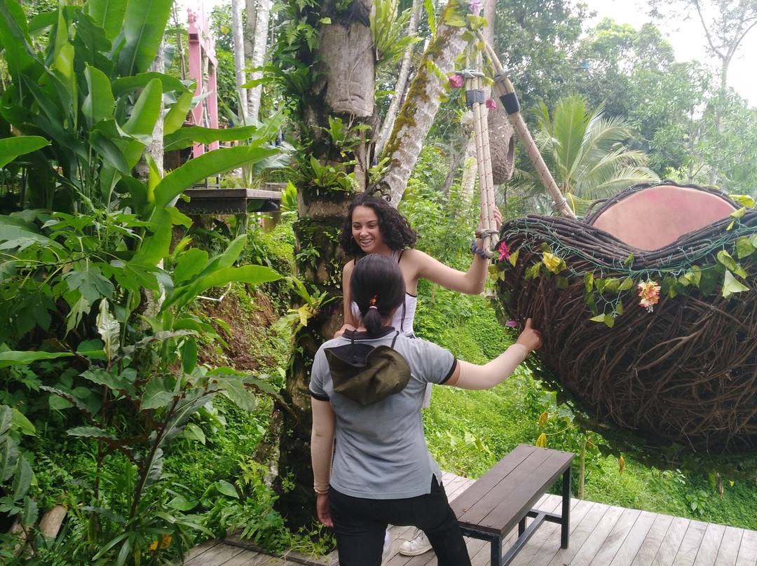 GetTourDriver - Bali Day Tours, Activities, Attractions & Bali Car With Private Driver-登巴萨必去景点