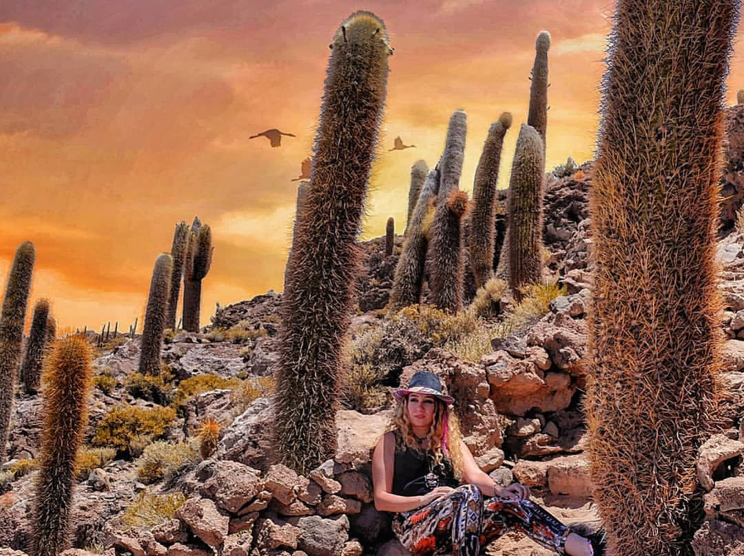 Isla Incahuasi-乌尤尼必去景点