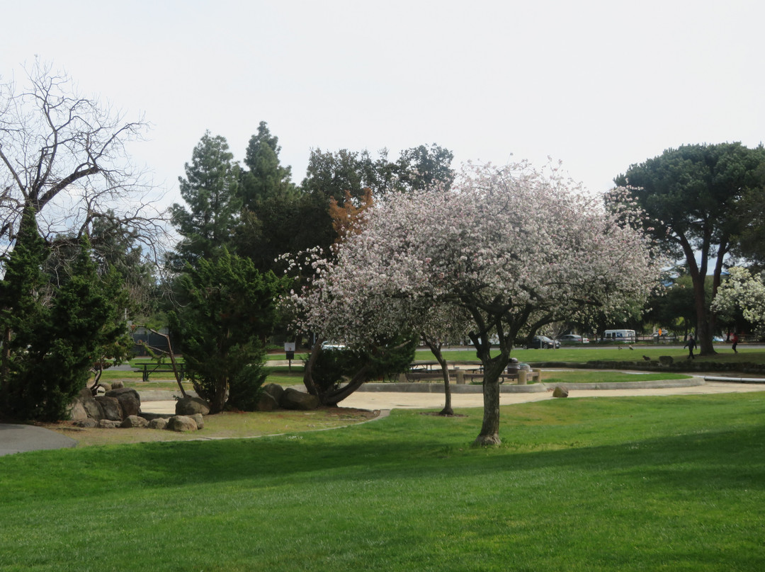 Cupertino Memorial Park景点图片