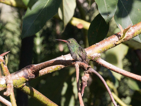 Coliving la Boira主图