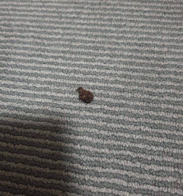 格林威治酒店主图