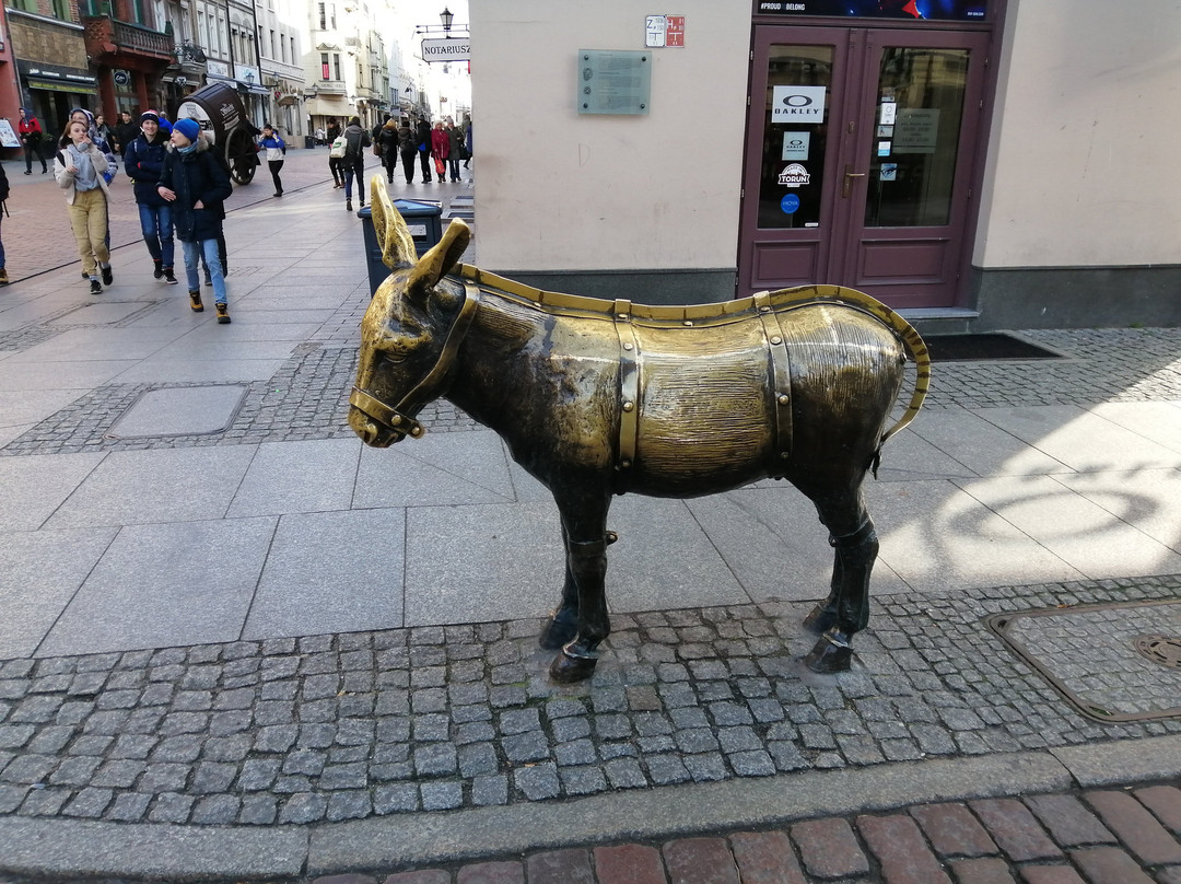 Monument to Donkey景点图片
