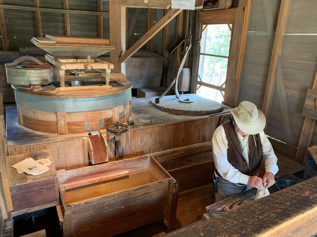 Georgia Museum of Agriculture and Historic Village-蒂夫顿必去景点