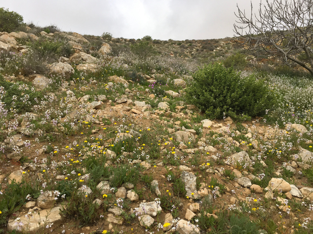 卡梅阿沃达特农场酒店主图