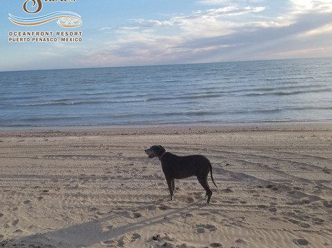 Laguna Shores Resort主图