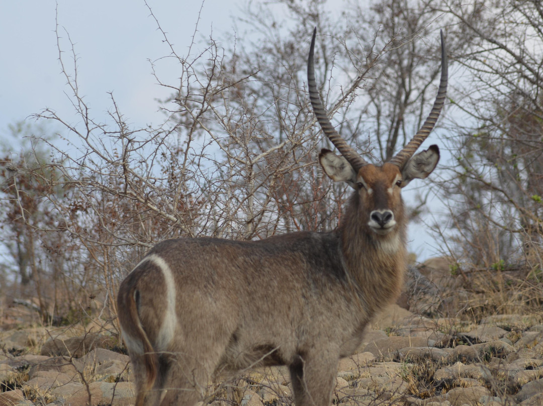 CrossBerry Travel Agency