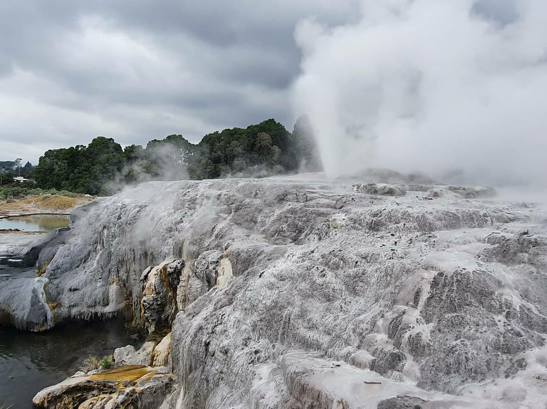 Whakarewarewa Geothermal Valley景点图片
