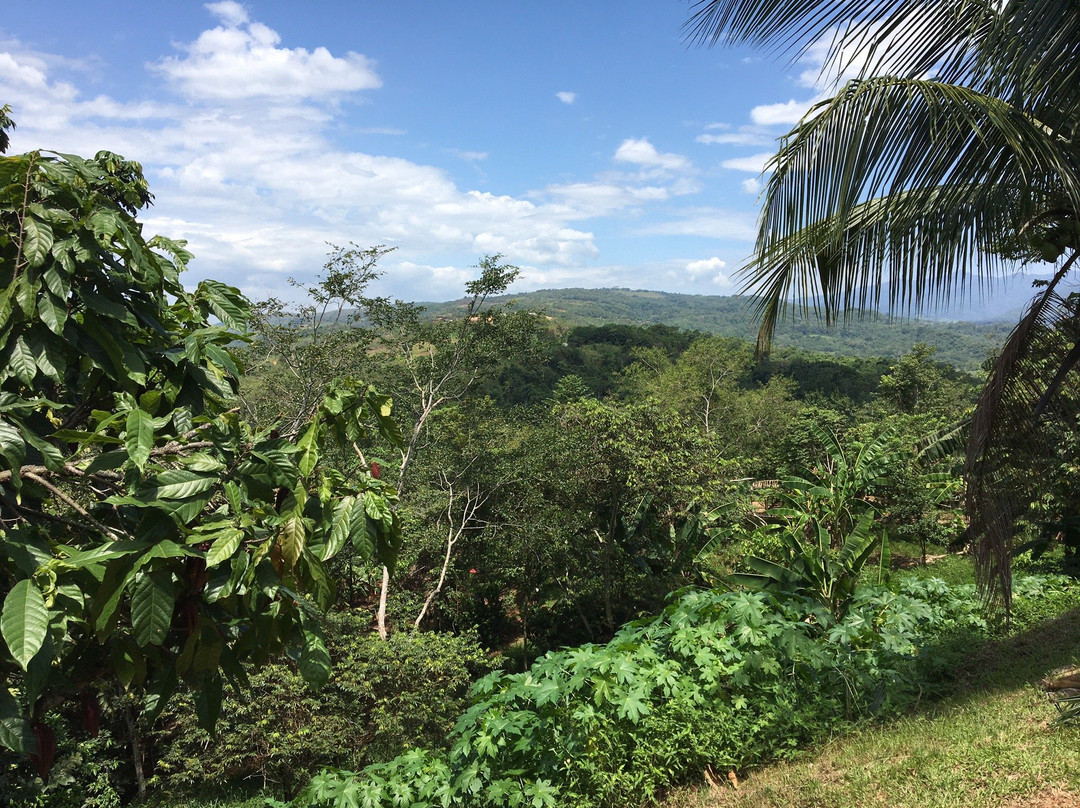 Fabrica de Chocolates Orquidea-Tarapoto必去景点