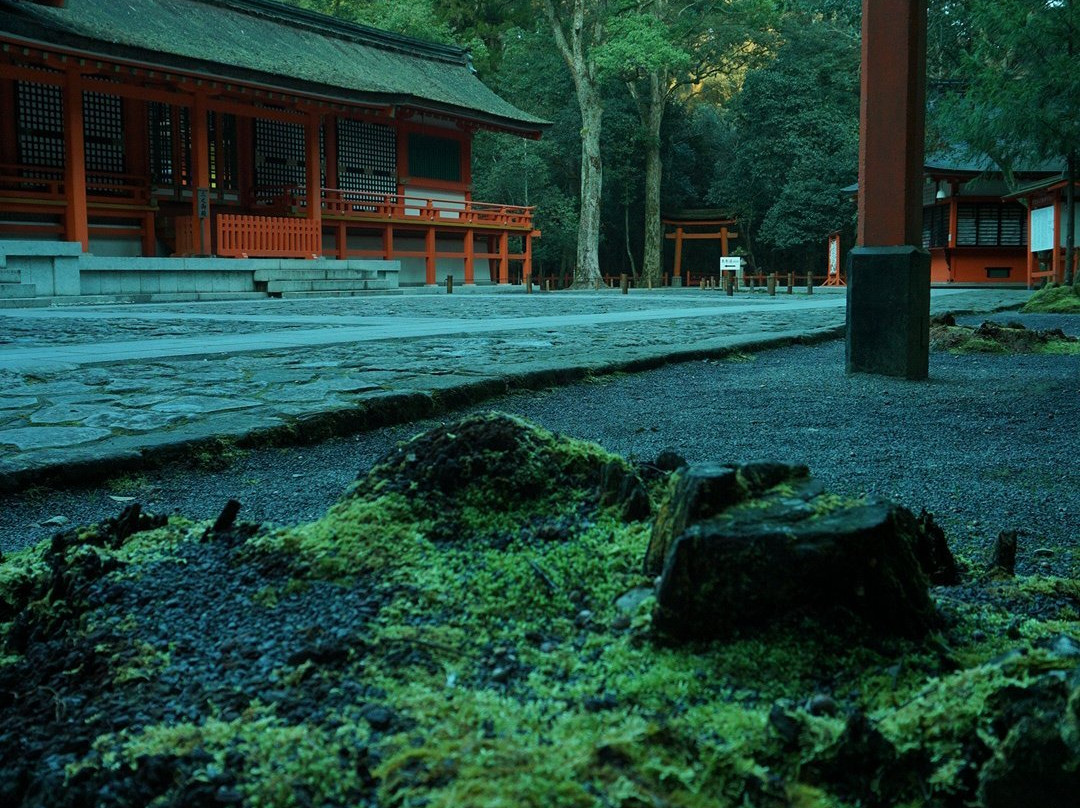 Usa Shrine Gegu景点图片