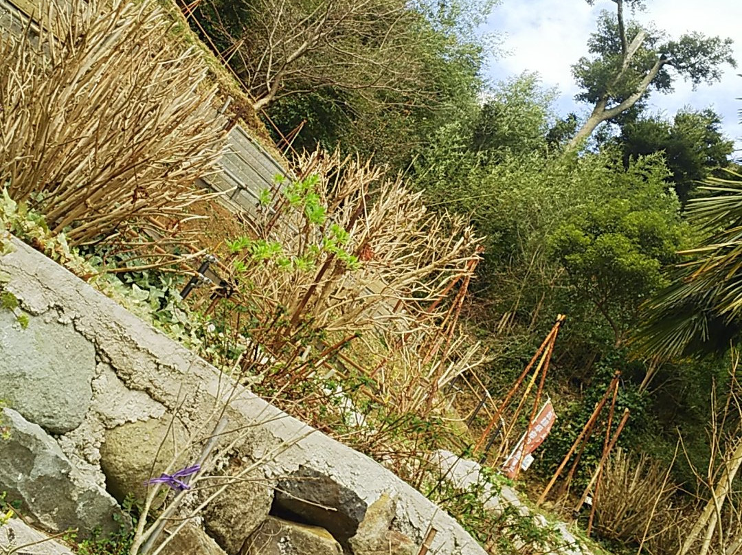 Nanzen-ji Temple景点图片